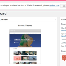 How to update the WPZOOM Framework