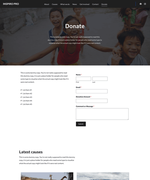 Donate page