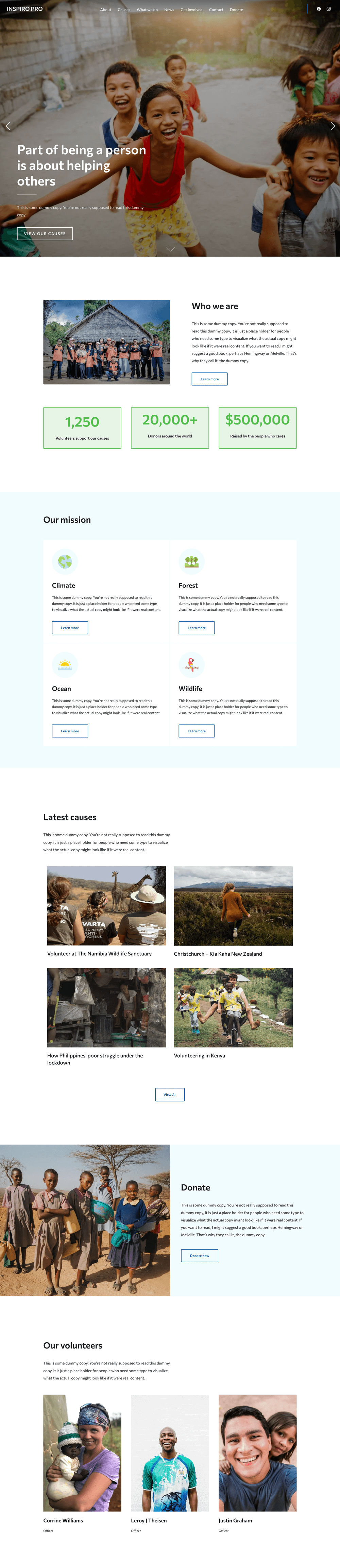 Charity WordPress theme