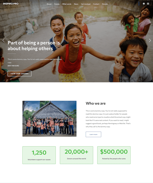 Charity / NGO
