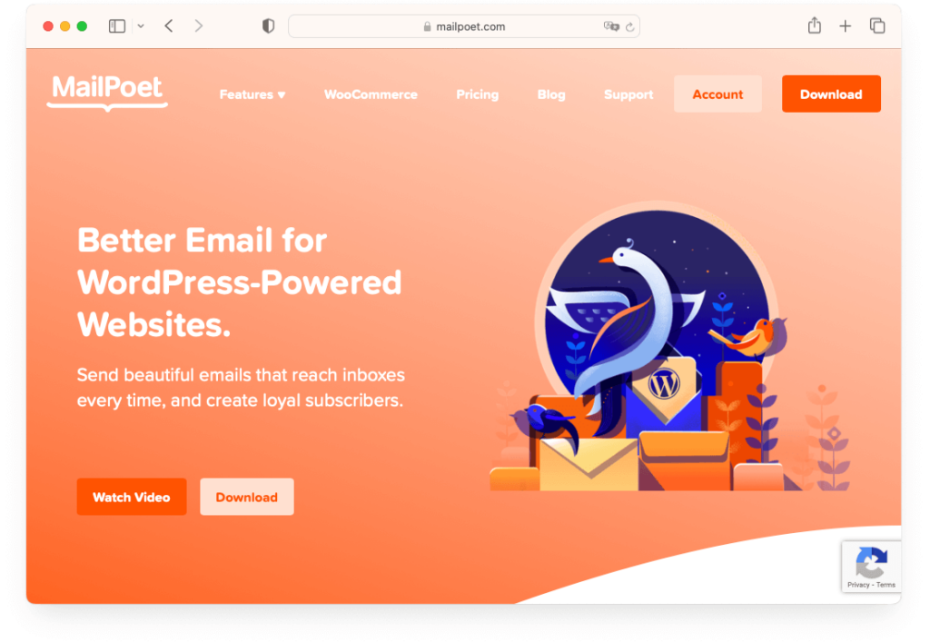 MailPoet
