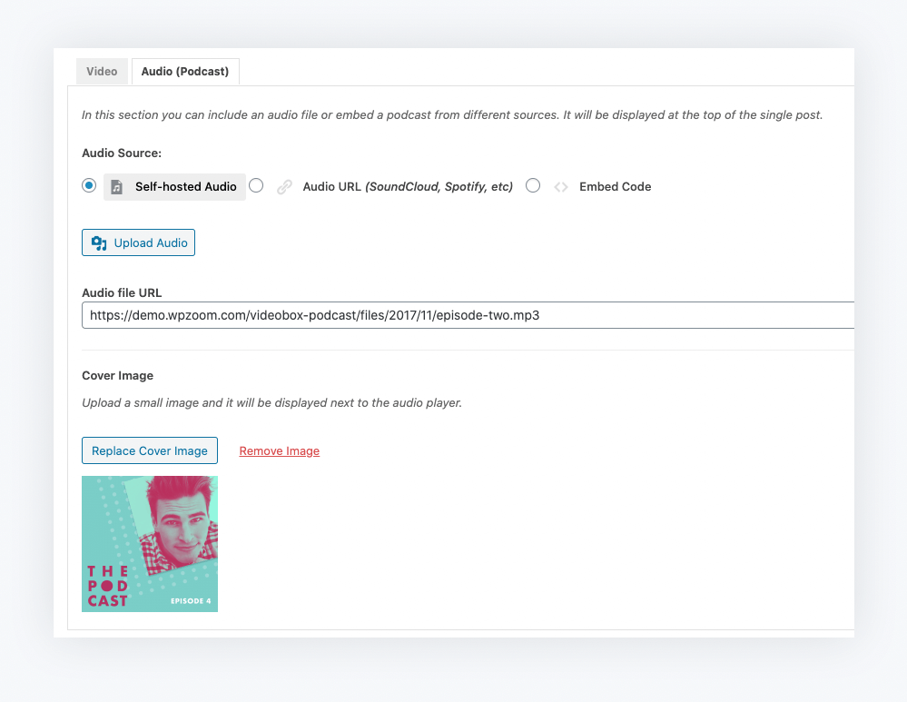 Audio podcast feature