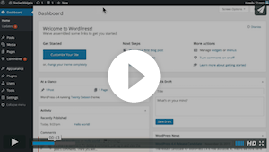 WordPress Video Tutorials